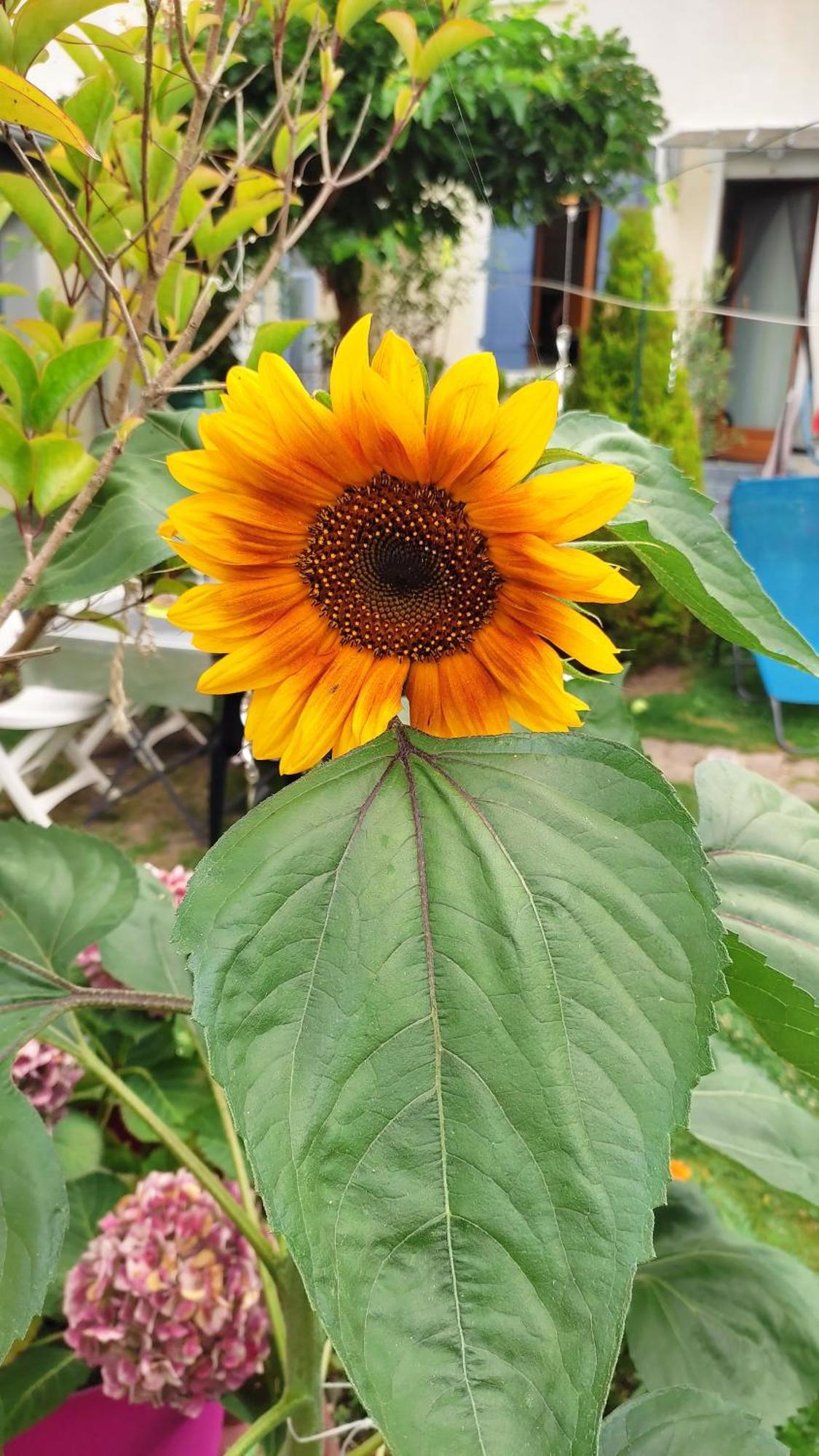 Un Deux Pieces Et Un Jardin A 빌쥐이프 외부 사진