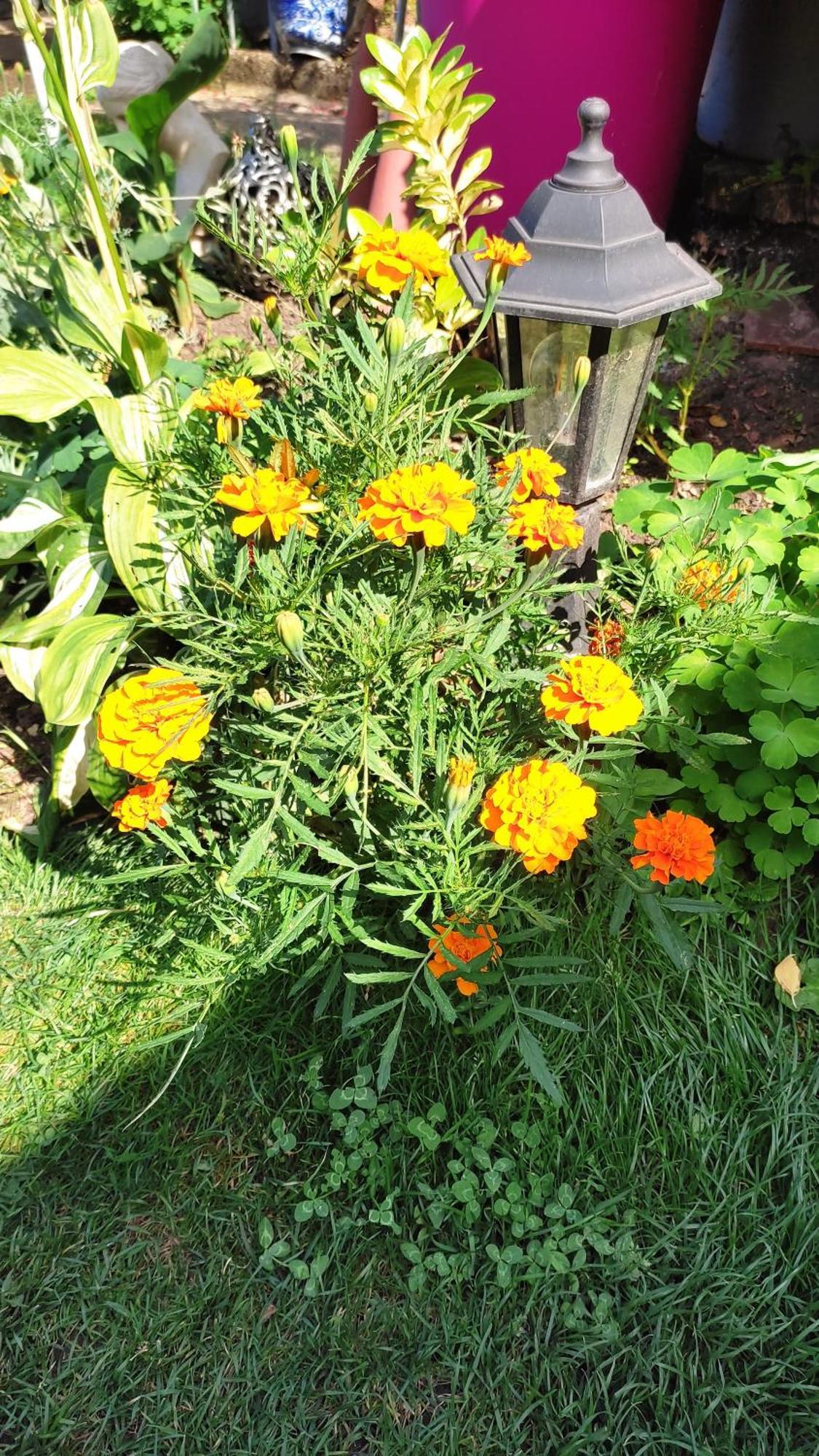 Un Deux Pieces Et Un Jardin A 빌쥐이프 외부 사진