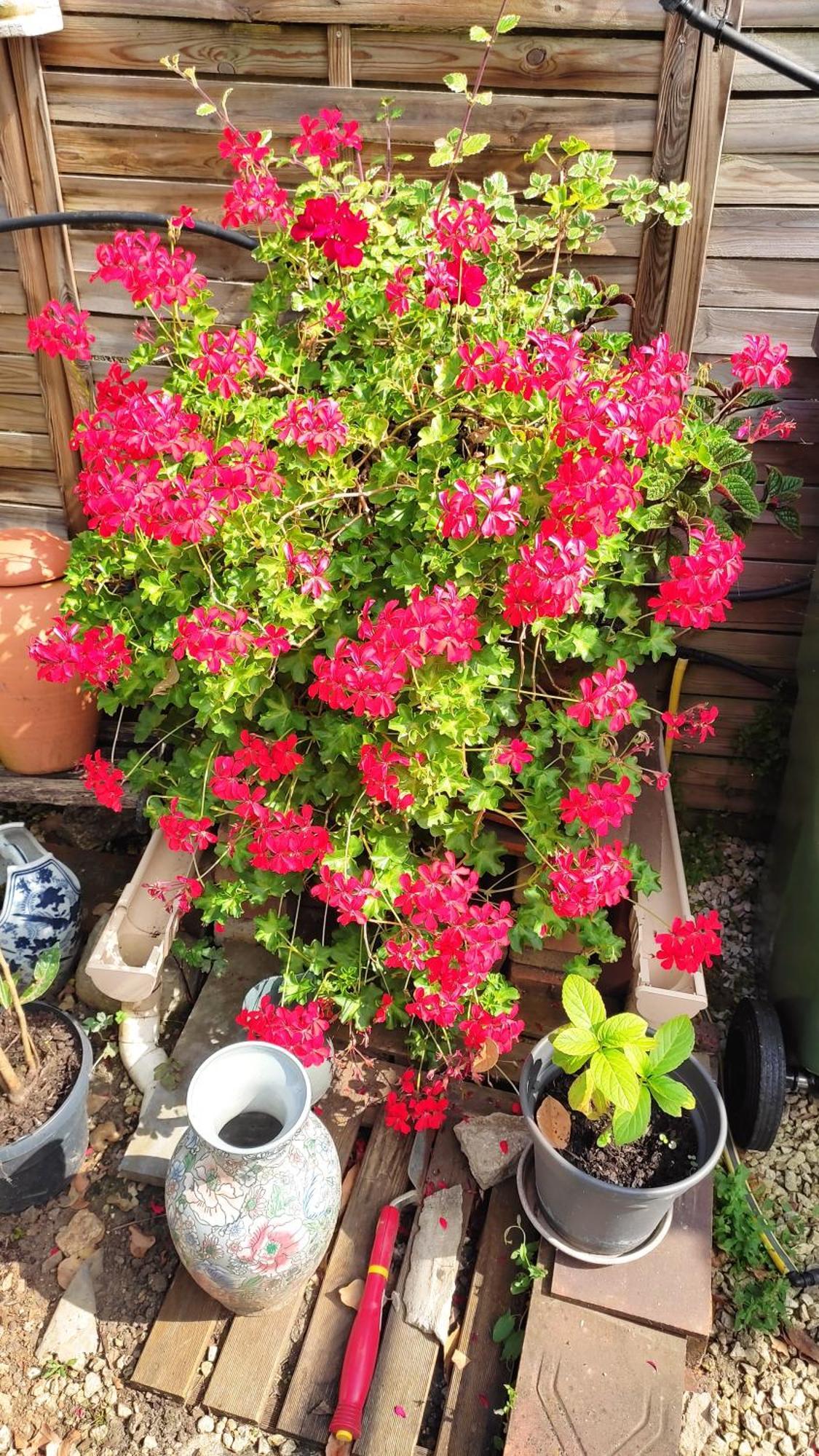 Un Deux Pieces Et Un Jardin A 빌쥐이프 외부 사진